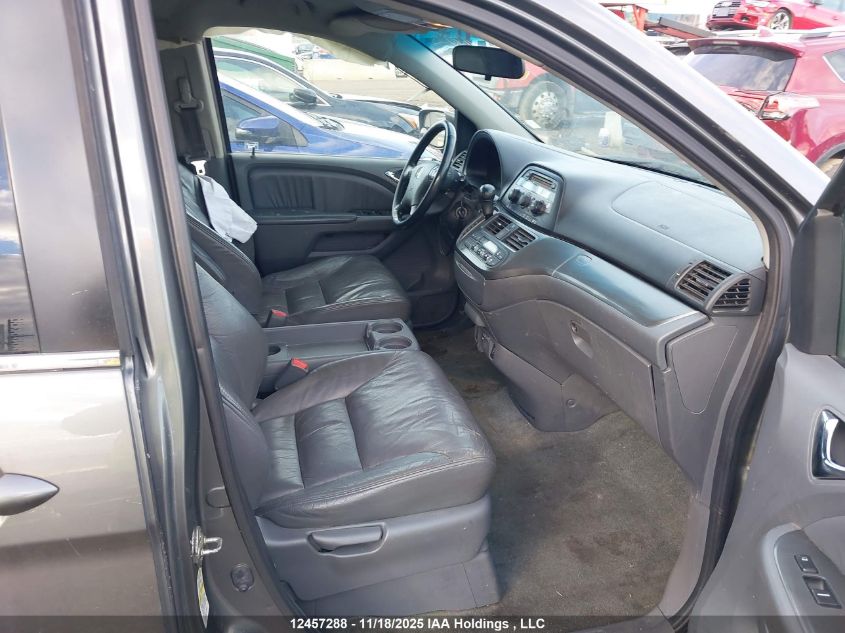 2007 Honda Odyssey Ex-L VIN: 5FNRL38667B504962 Lot: 12457288