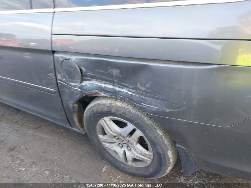 2007 Honda Odyssey Ex-L VIN: 5FNRL38667B504962 Lot: 12457288