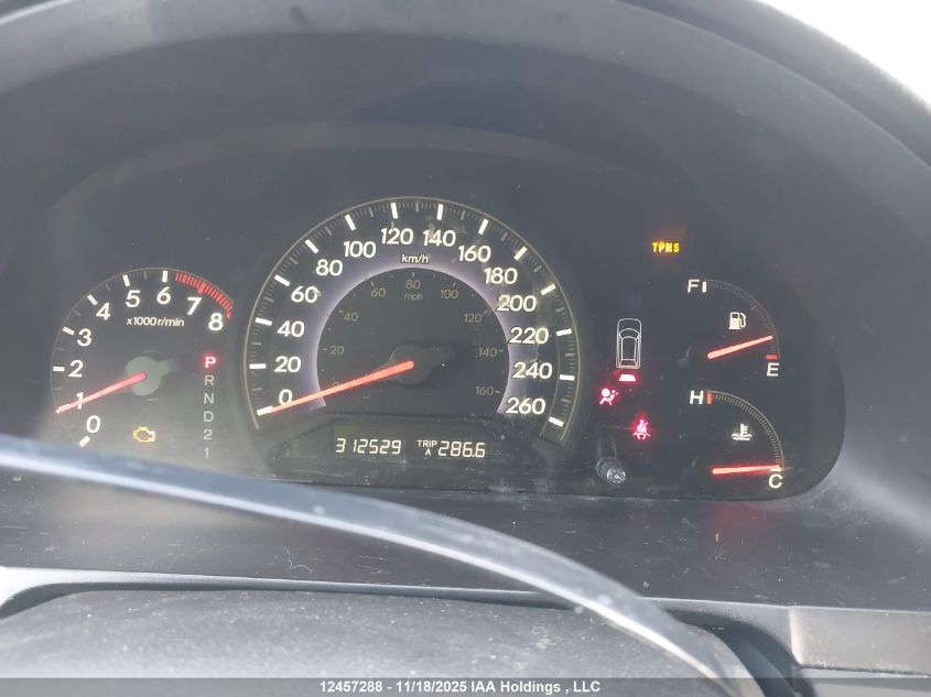 2007 Honda Odyssey Ex-L VIN: 5FNRL38667B504962 Lot: 12457288