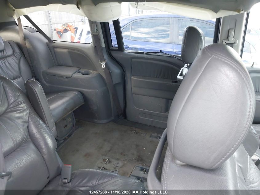 2007 Honda Odyssey Ex-L VIN: 5FNRL38667B504962 Lot: 12457288