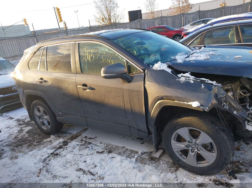 2022 Toyota Rav4 Xle VIN: 2T3RWRFV9NW135025 Lot: 12457306