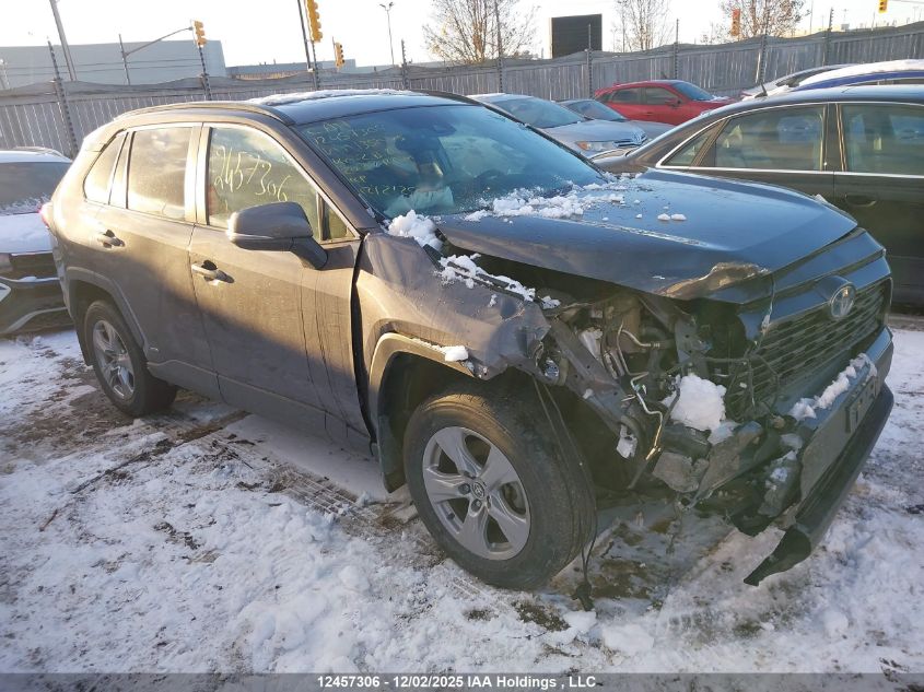 2022 Toyota Rav4 Xle VIN: 2T3RWRFV9NW135025 Lot: 12457306
