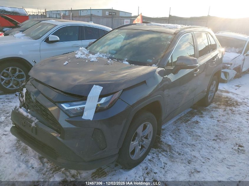 2022 Toyota Rav4 Xle VIN: 2T3RWRFV9NW135025 Lot: 12457306