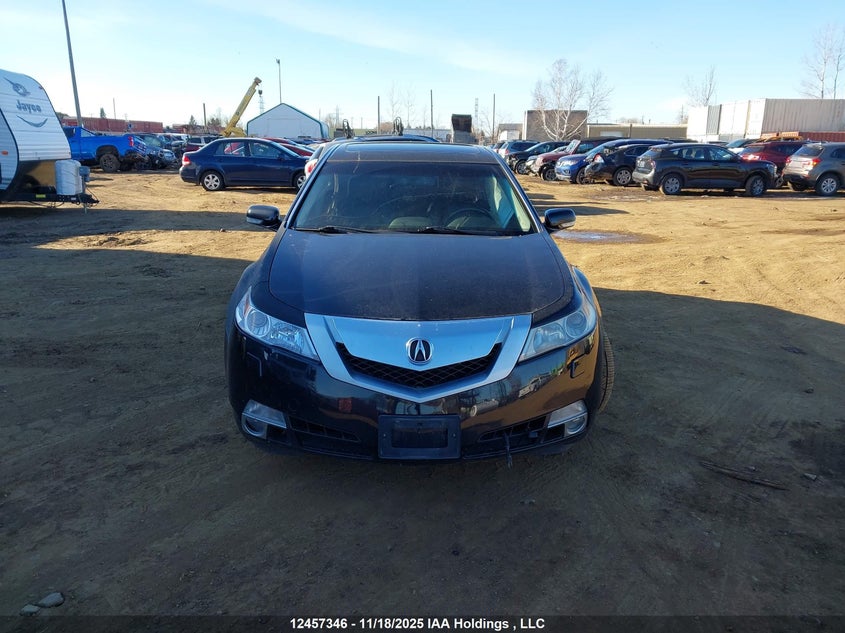 2011 Acura Tl VIN: 19UUA9F53BA800392 Lot: 12457346