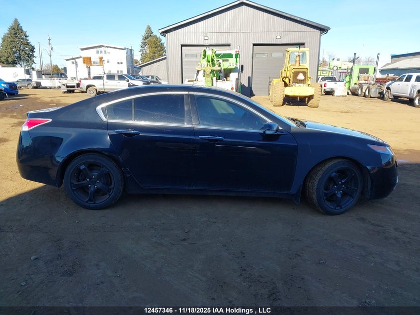 2011 Acura Tl VIN: 19UUA9F53BA800392 Lot: 12457346