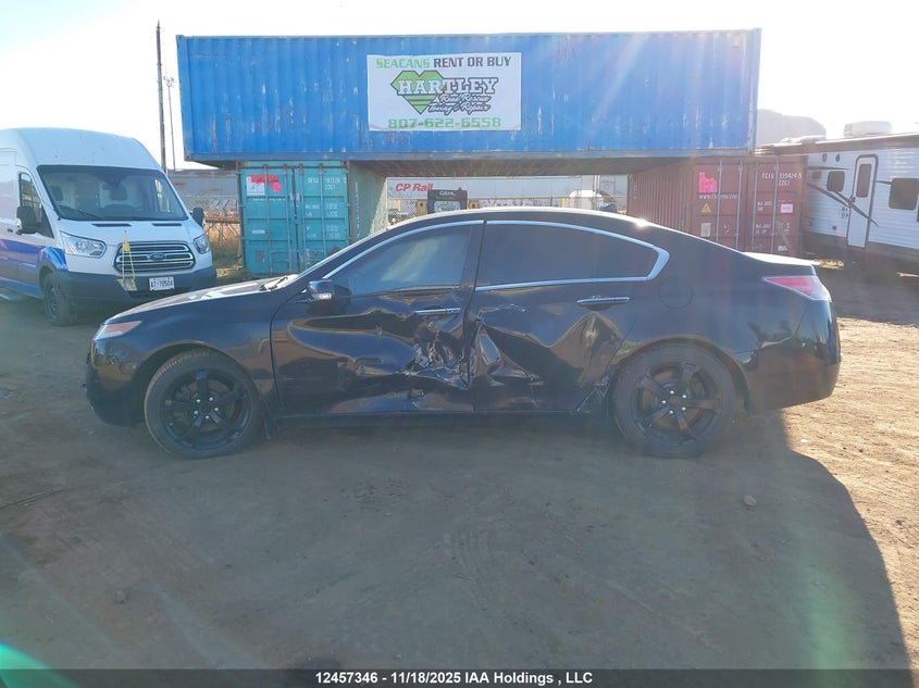 2011 Acura Tl VIN: 19UUA9F53BA800392 Lot: 12457346