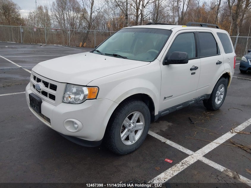 1FMCU4K35AKA39717 2010 FORD ESCAPE photo no. 2