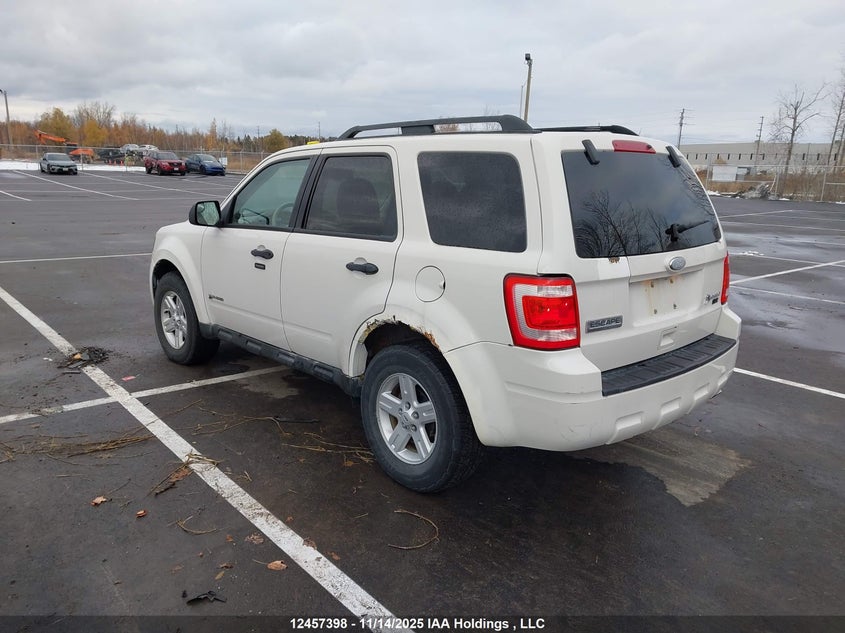 1FMCU4K35AKA39717 2010 FORD ESCAPE photo no. 3
