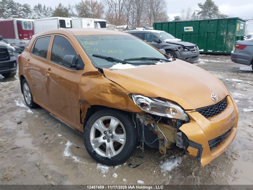 2009 Toyota Matrix Wagon VIN: 2T1KU40E09C049637 Lot: 12457459