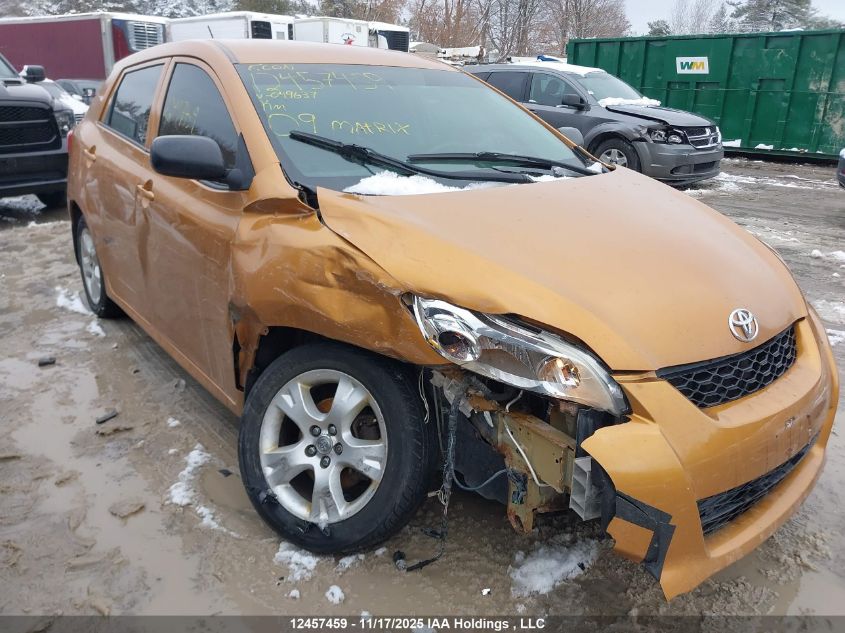 2009 Toyota Matrix Wagon VIN: 2T1KU40E09C049637 Lot: 12457459