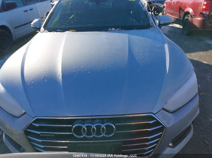 2019 Audi A5 Sportback VIN: WAUBNCF5XKA062031 Lot: 12457518