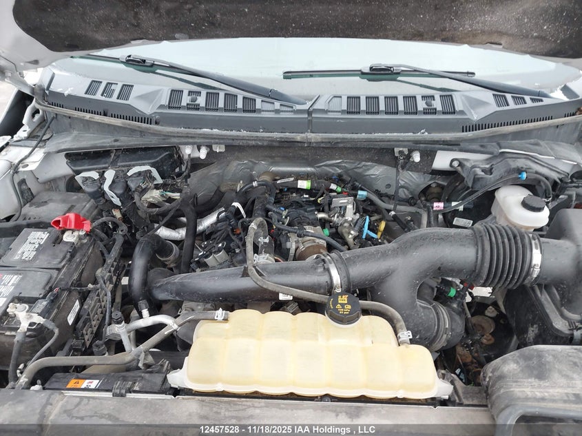 2019 Ford F-150 Xlt VIN: 1FTEW1EP8KFB71465 Lot: 12457528