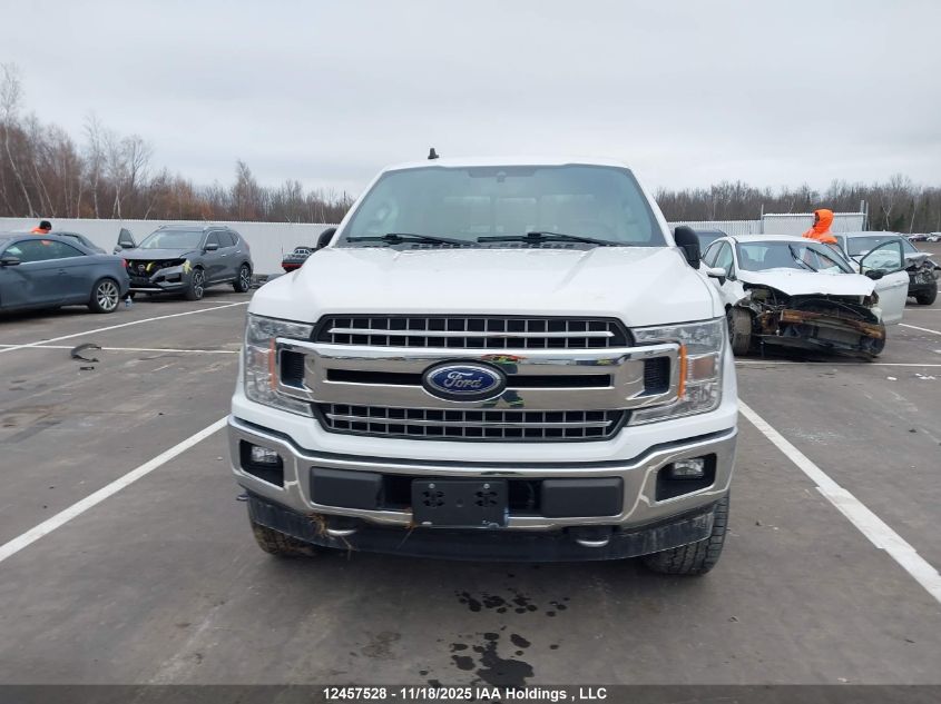 2019 Ford F-150 Xlt VIN: 1FTEW1EP8KFB71465 Lot: 12457528