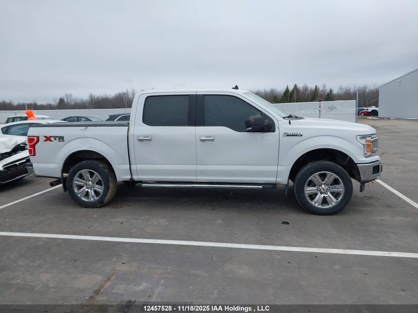 2019 Ford F-150 Xlt VIN: 1FTEW1EP8KFB71465 Lot: 12457528