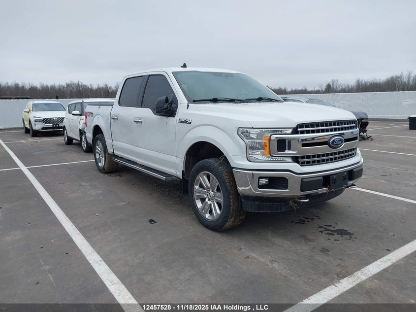 2019 Ford F-150 Xlt VIN: 1FTEW1EP8KFB71465 Lot: 12457528