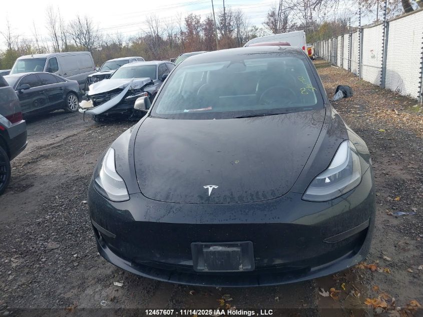 2023 Tesla Model 3 VIN: 5YJ3E1EA7PF438175 Lot: 12457607