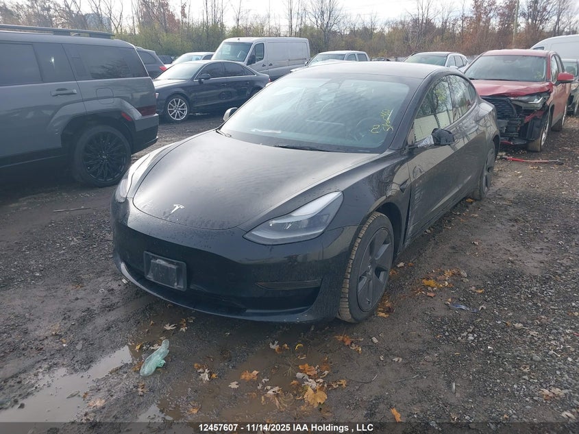 5YJ3E1EA7PF438175 2023 TESLA MODEL 3 photo no. 2