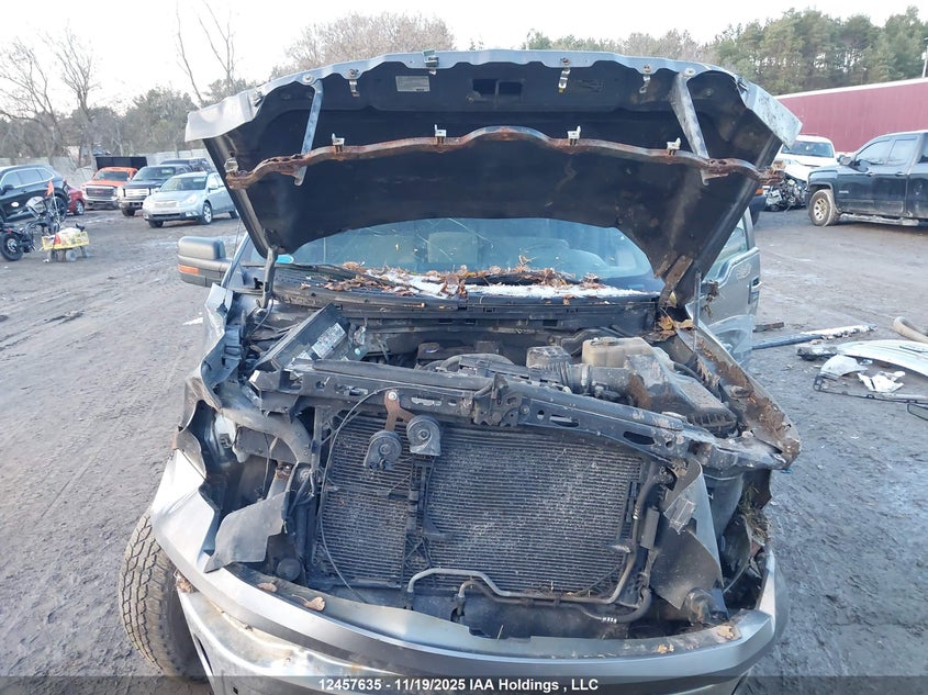 2010 Ford F-150 Xlt VIN: 1FTEW1E80AFC38423 Lot: 12457635