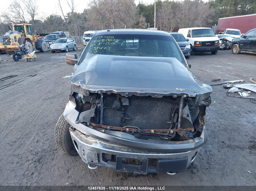 2010 Ford F-150 Xlt VIN: 1FTEW1E80AFC38423 Lot: 12457635