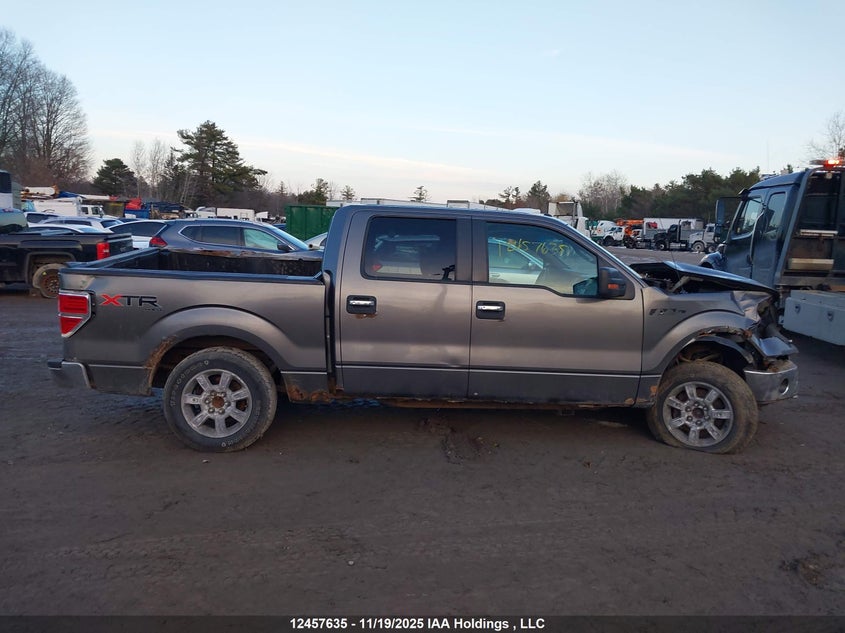 2010 Ford F-150 Xlt VIN: 1FTEW1E80AFC38423 Lot: 12457635