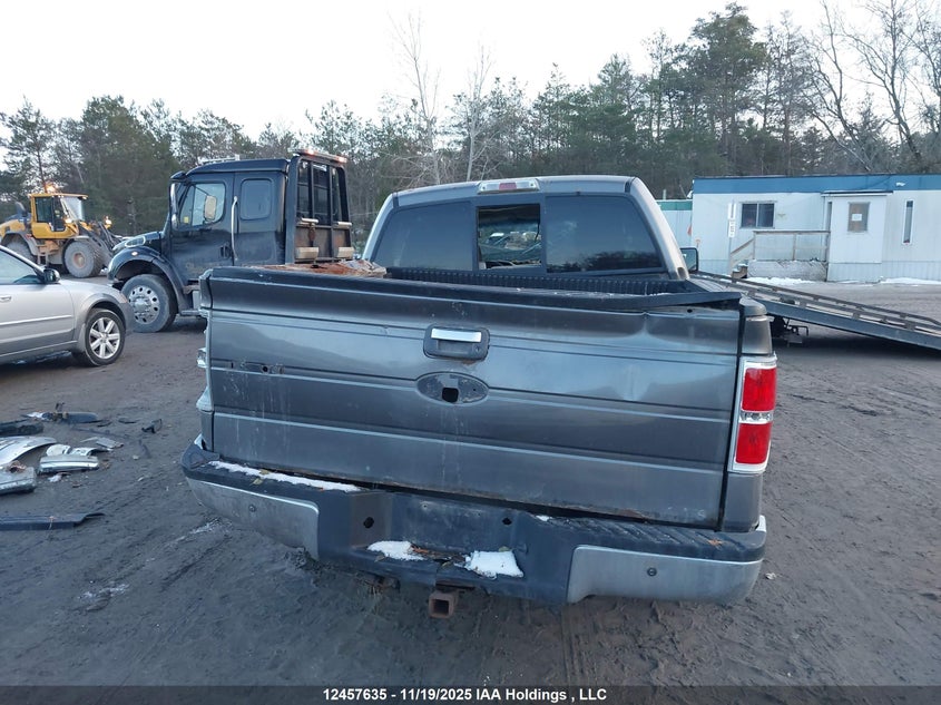 2010 Ford F-150 Xlt VIN: 1FTEW1E80AFC38423 Lot: 12457635