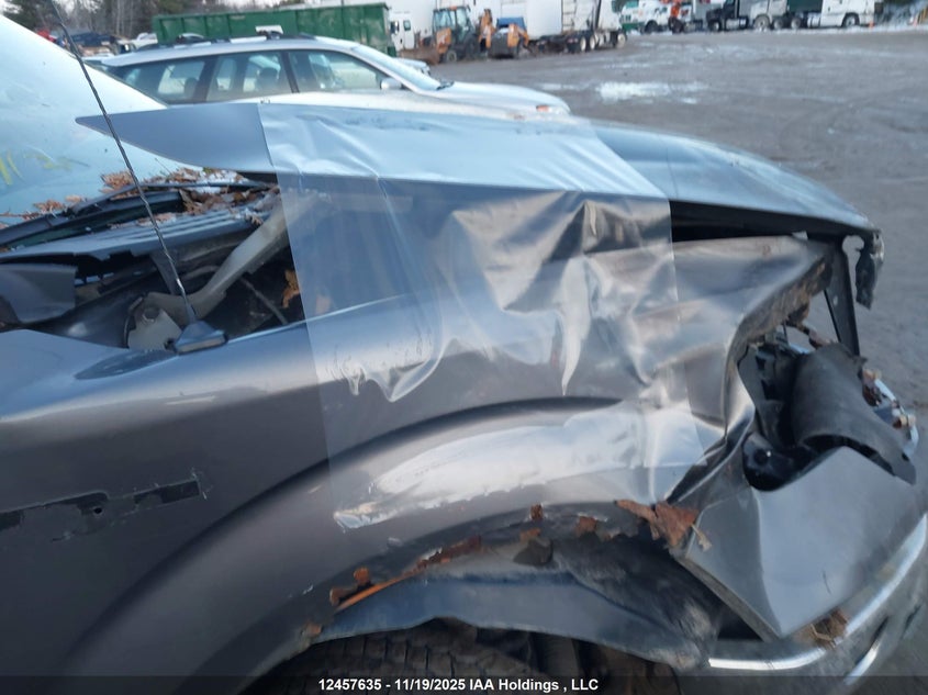 2010 Ford F-150 Xlt VIN: 1FTEW1E80AFC38423 Lot: 12457635