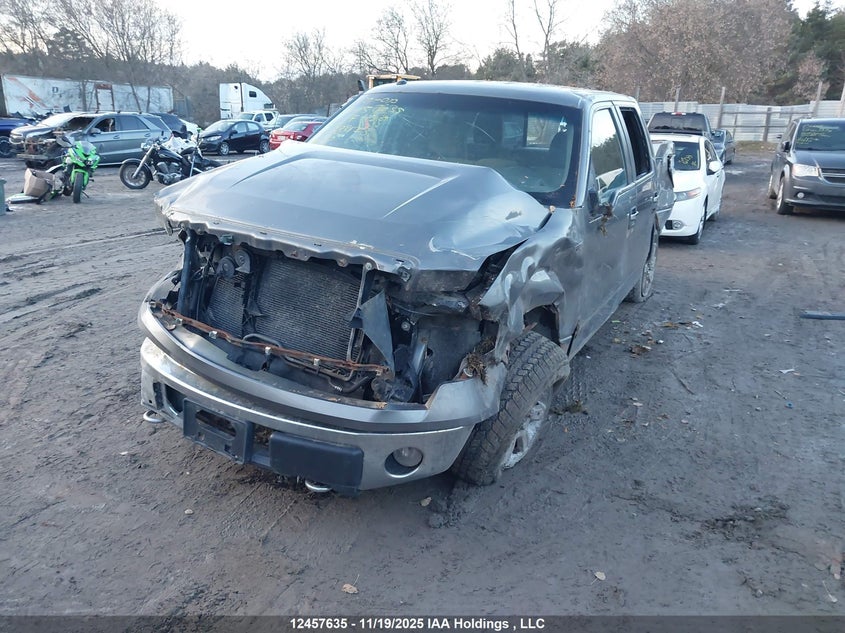 1FTEW1E80AFC38423 2010 FORD F-150 photo no. 2