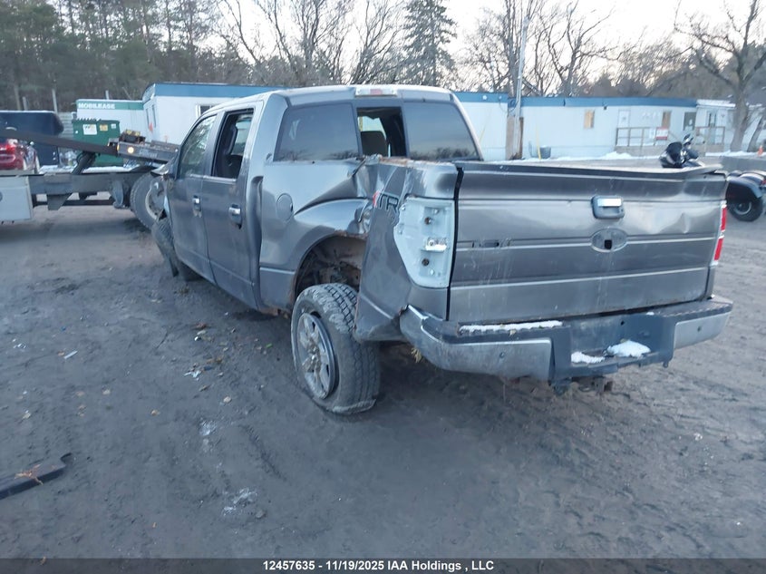 1FTEW1E80AFC38423 2010 FORD F-150 photo no. 3