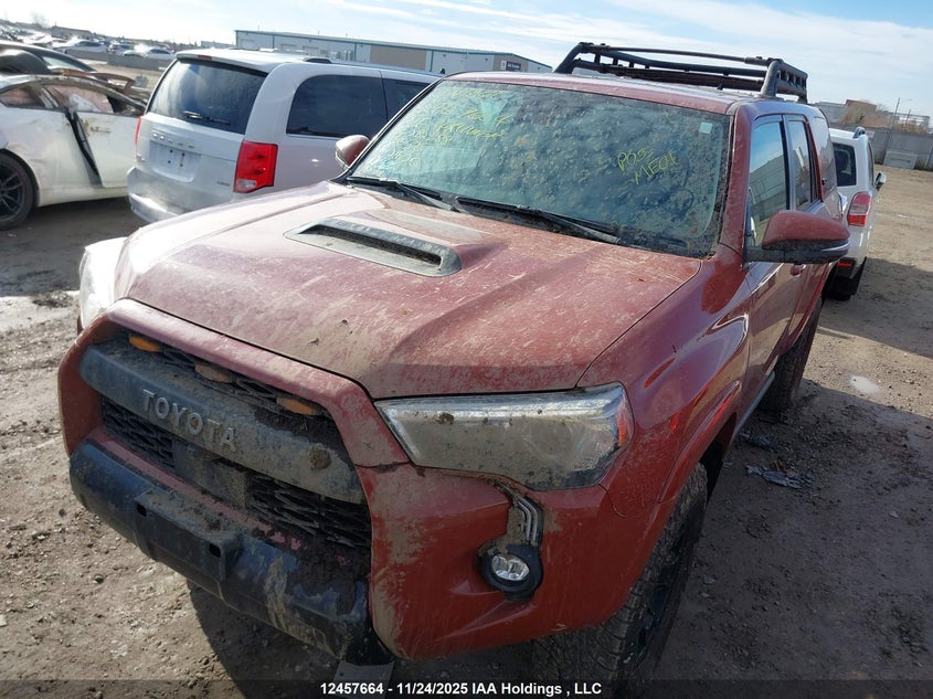 2024 Toyota 4Runner VIN: JTELU5JR0R6282688 Lot: 12457664