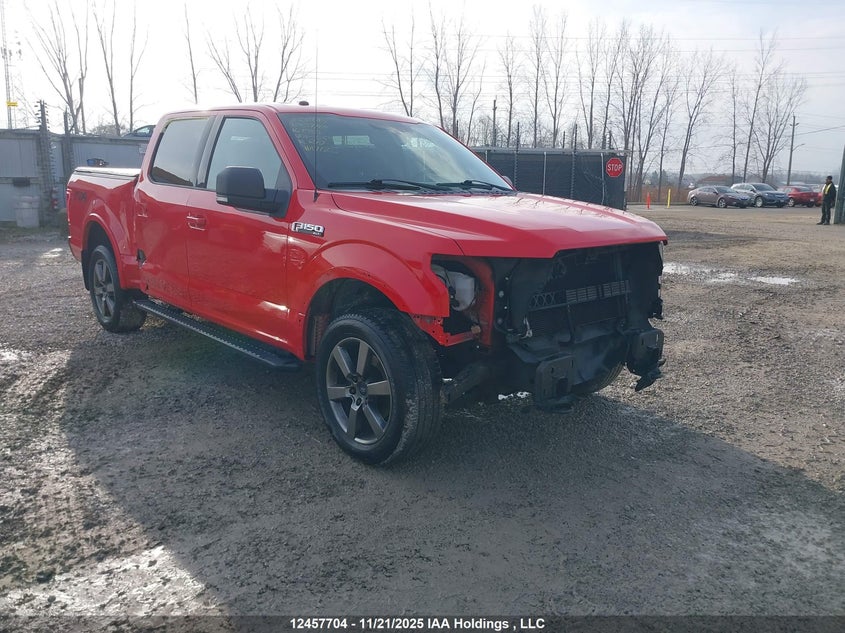 1FTEW1EF9GFC51839 2016 FORD F-150 photo no. 10