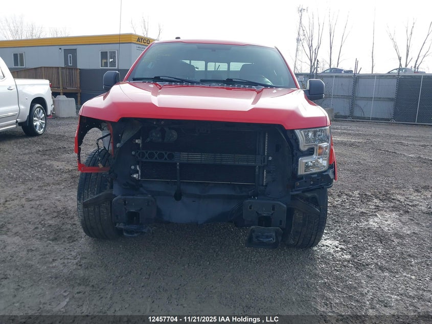 1FTEW1EF9GFC51839 2016 FORD F-150 photo no. 6
