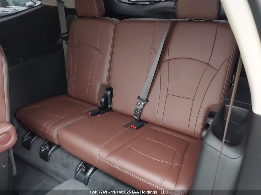 2020 Buick Enclave Avenir VIN: 5GAEVCKW0LJ175861 Lot: 12457761