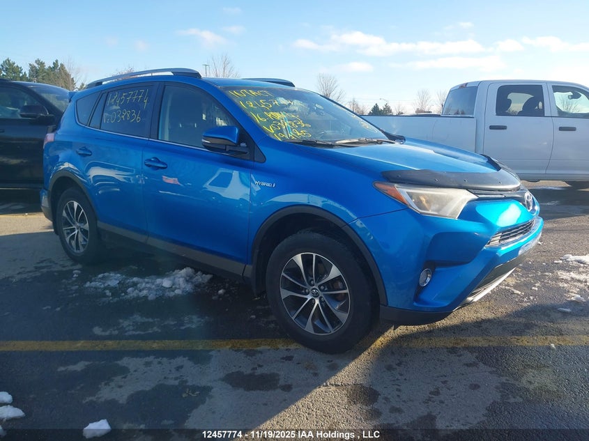 JTMRJREV2GD032836 2016 Toyota Rav4 auction photo 1