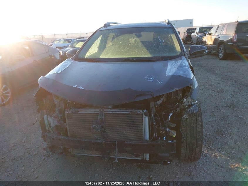 2014 Toyota Rav4 Xle VIN: 2T3RFREV0EW167413 Lot: 12457782