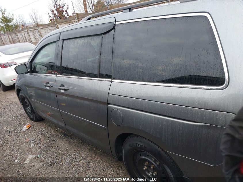 2009 Honda Odyssey VIN: 5FNRL38229B504182 Lot: 12457842