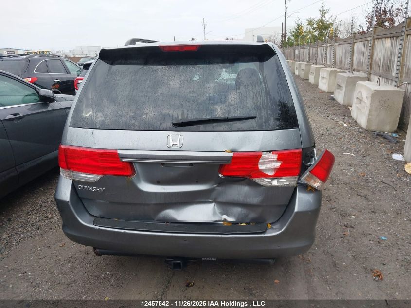 2009 Honda Odyssey VIN: 5FNRL38229B504182 Lot: 12457842