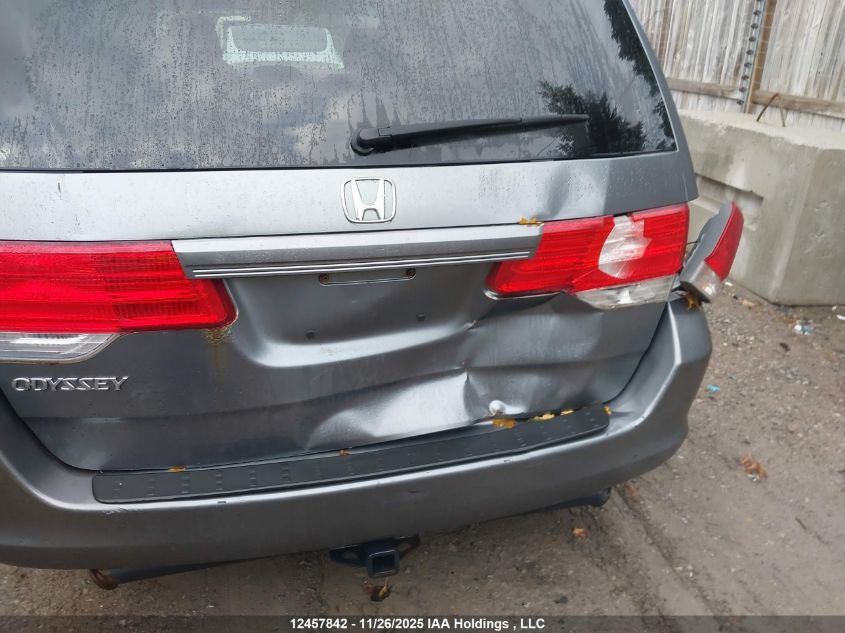 2009 Honda Odyssey VIN: 5FNRL38229B504182 Lot: 12457842