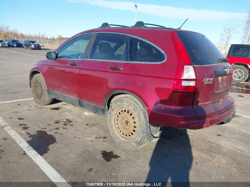 5J6RE4H31AL820709 2010 HONDA CR-V photo no. 3
