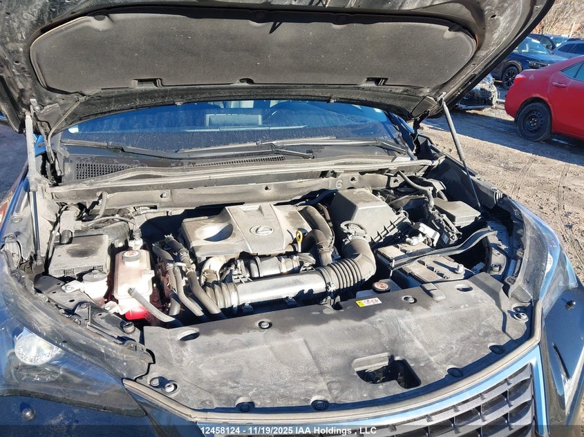 2020 Lexus Nx 300 VIN: JTJGARDZ4L5014691 Lot: 12458124