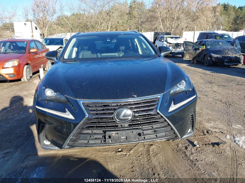 2020 Lexus Nx 300 VIN: JTJGARDZ4L5014691 Lot: 12458124