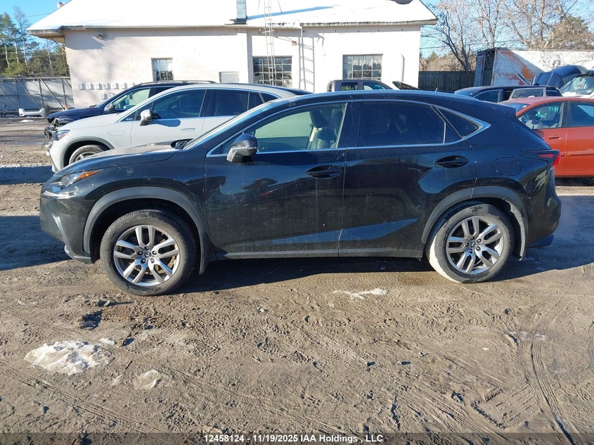 2020 Lexus Nx 300 VIN: JTJGARDZ4L5014691 Lot: 12458124