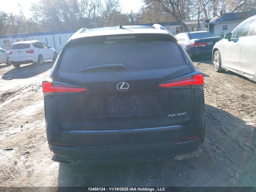 2020 Lexus Nx 300 VIN: JTJGARDZ4L5014691 Lot: 12458124