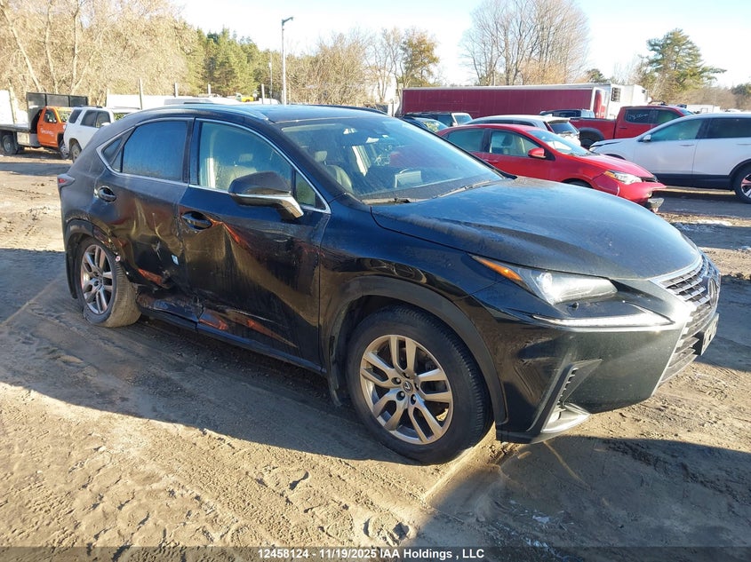 2020 Lexus Nx 300 VIN: JTJGARDZ4L5014691 Lot: 12458124
