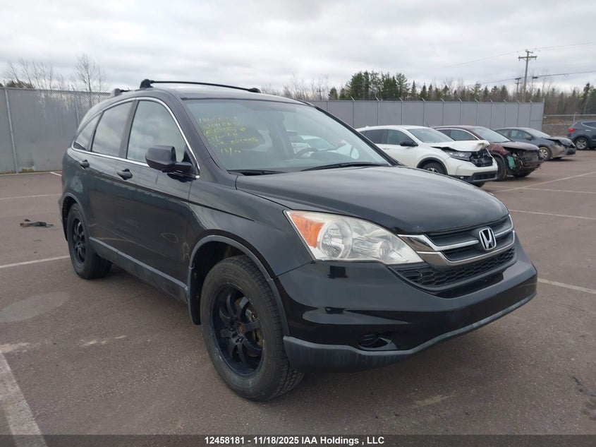 2011 Honda Cr-V Lx VIN: 5J6RE4H36BL825986 Lot: 12458181