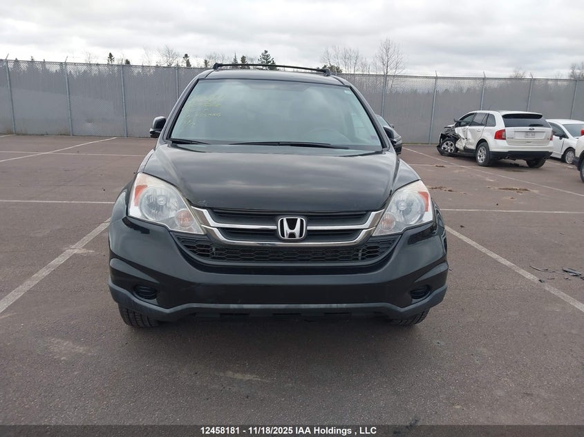 2011 Honda Cr-V Lx VIN: 5J6RE4H36BL825986 Lot: 12458181