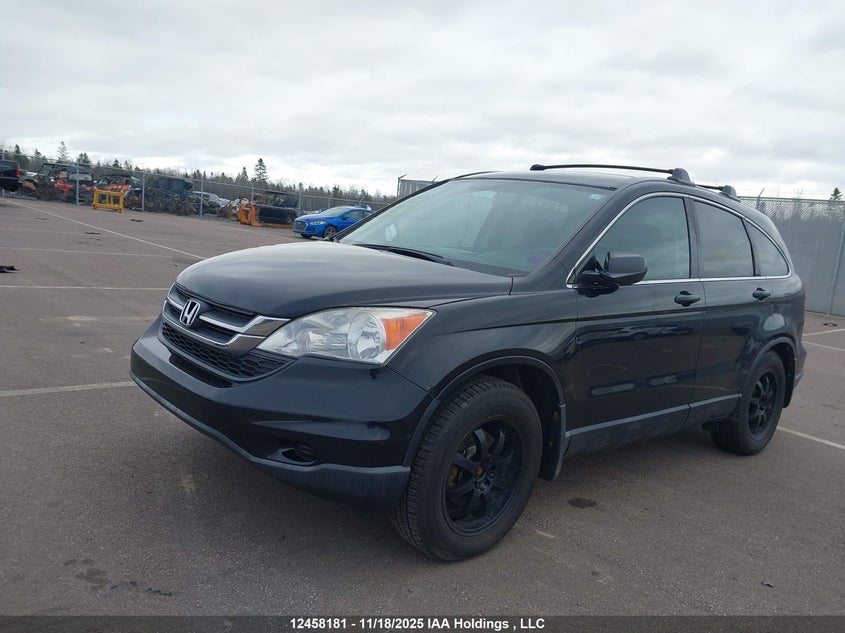 2011 Honda Cr-V Lx VIN: 5J6RE4H36BL825986 Lot: 12458181