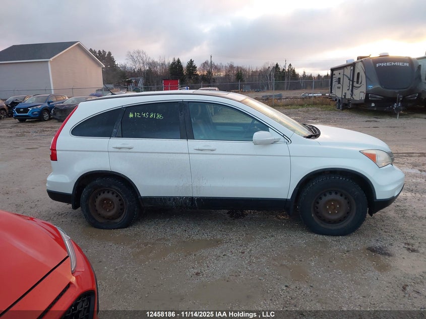 2010 Honda Cr-V Ex VIN: 5J6RE4H51AL816273 Lot: 12458186
