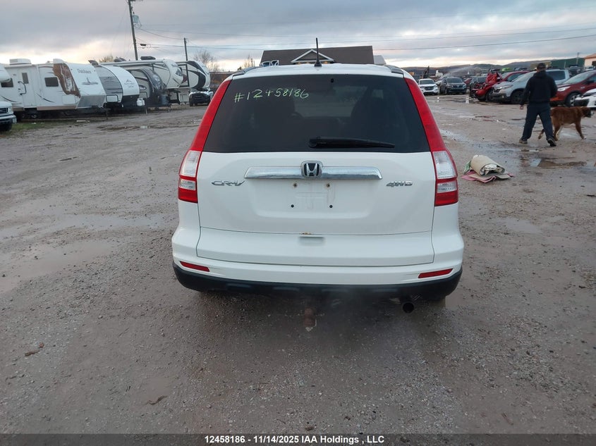 2010 Honda Cr-V Ex VIN: 5J6RE4H51AL816273 Lot: 12458186