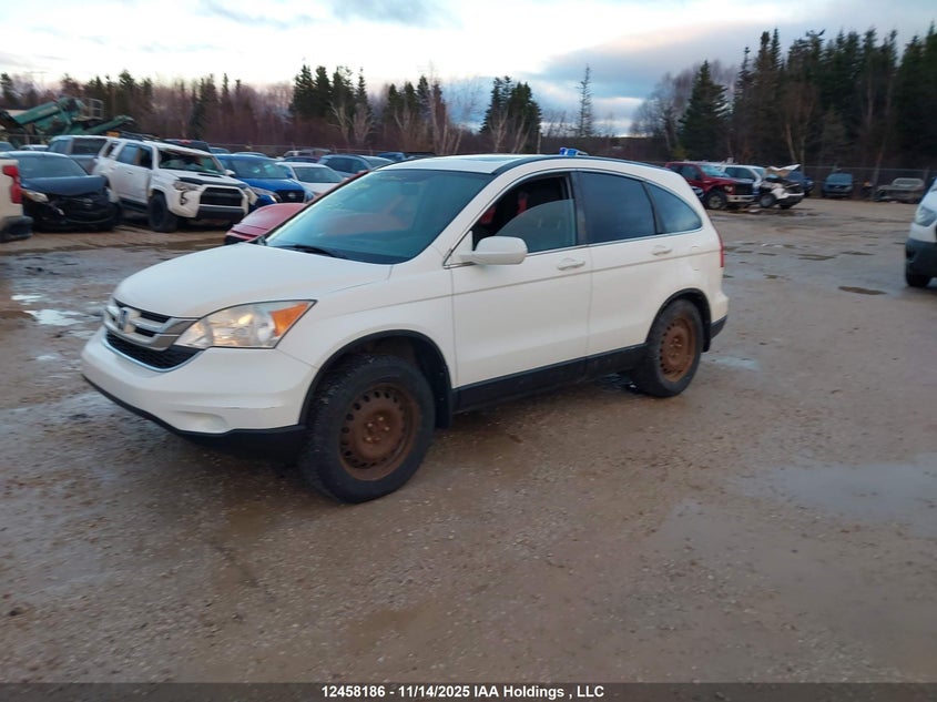 5J6RE4H51AL816273 2010 HONDA CR-V photo no. 3