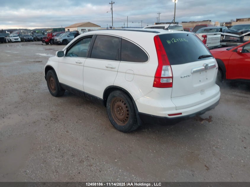 5J6RE4H51AL816273 2010 HONDA CR-V photo no. 4